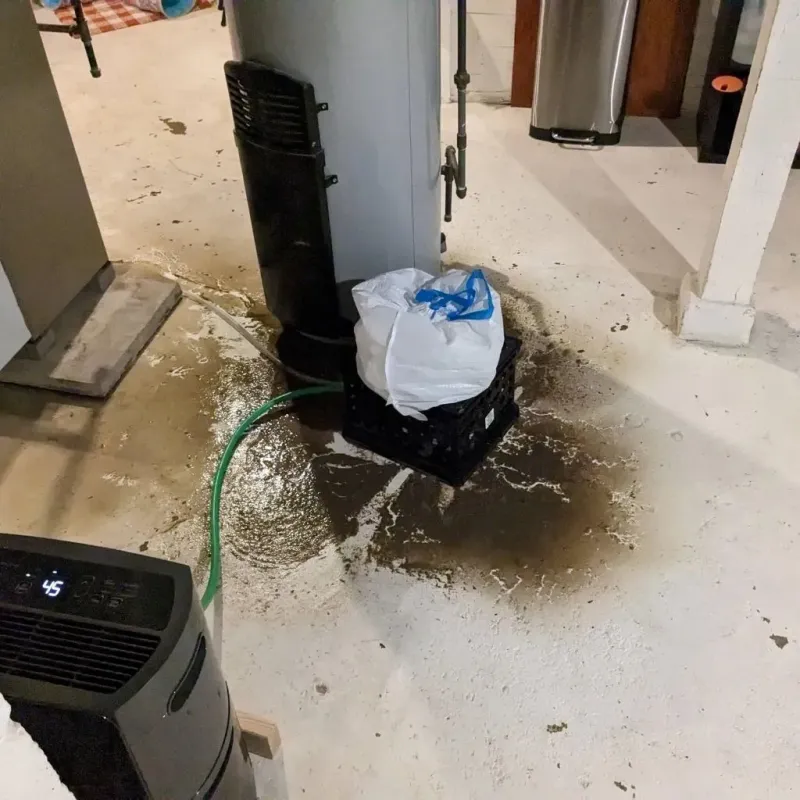 Sewage Backup Cleanup Service in Billerica, MA